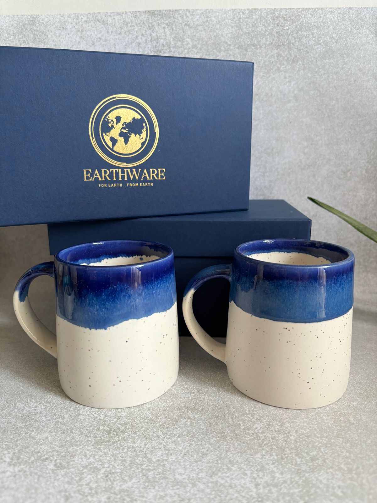 Hand Painted Muti Shade Coffee Mugs